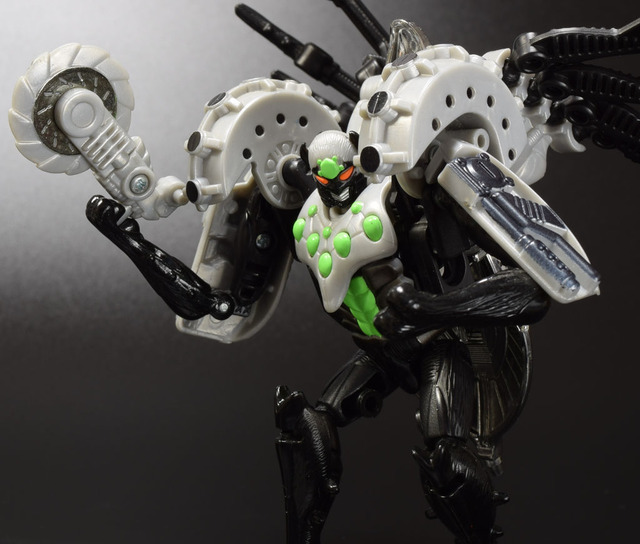fd3aa9f4-s.jpg