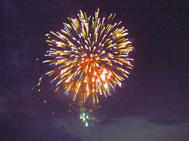 筑後川花火大会 よしろー 日記