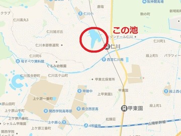 仁川の池