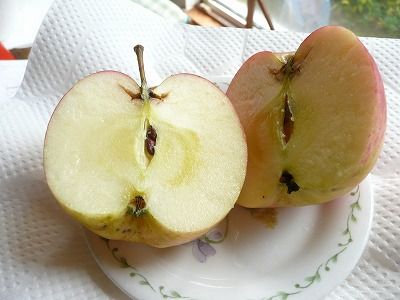 P1130833