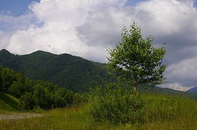 IMGP0013