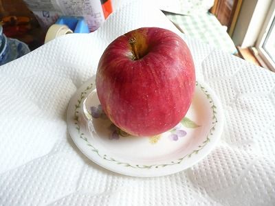 P1130832