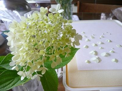 P1120032