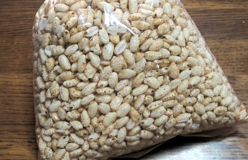 久しぶりにポン菓子屋さんが来たので 玄米のポン菓子 を買ってきた マカロニポン菓子 なるものも試食させてもらった 何でも雑記板 新