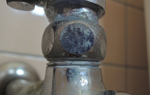 toiremizumoregenin (2)
