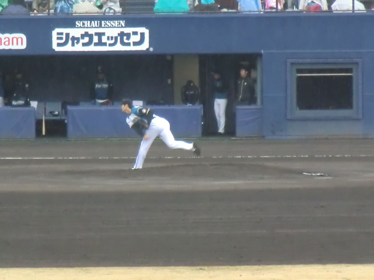 16npb Op 横浜dena Vs 北海道日本ハム シュレーディンガーの猫