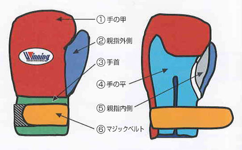WINNINGカラーオーダーグローブ! : フィットネスショップ オフィシャル