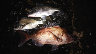 20190929_144645