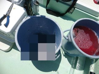 BlogPaint