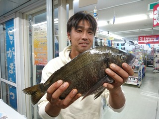 DSC_0101-2760x2070