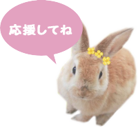 にほんブログ村 ランキング