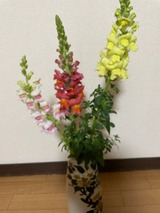 花摘み (1)