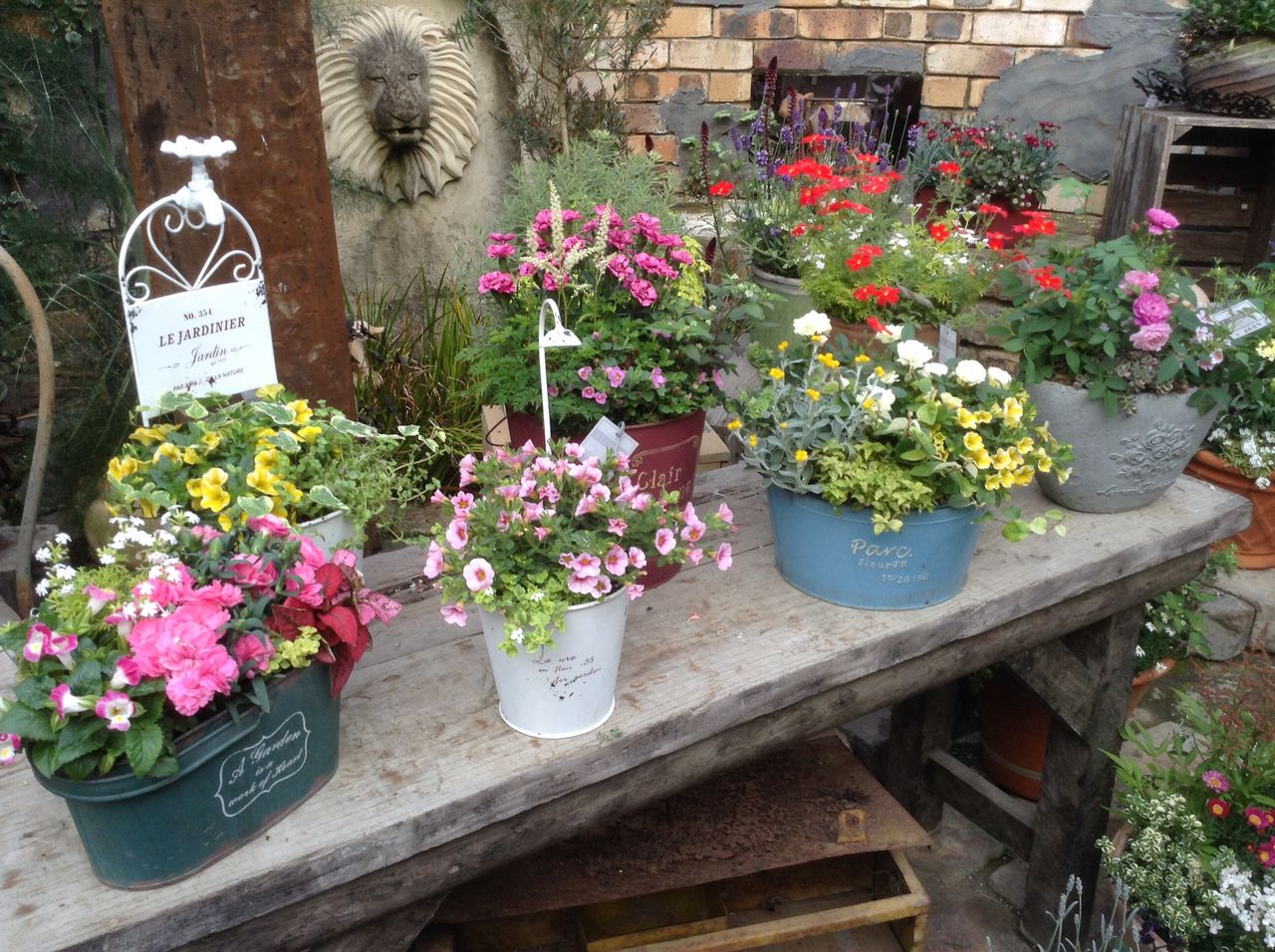 いよいよ母の日 flower shop lobelia ロベリア いよいよ母の日 flower shop lobelia ロベリア