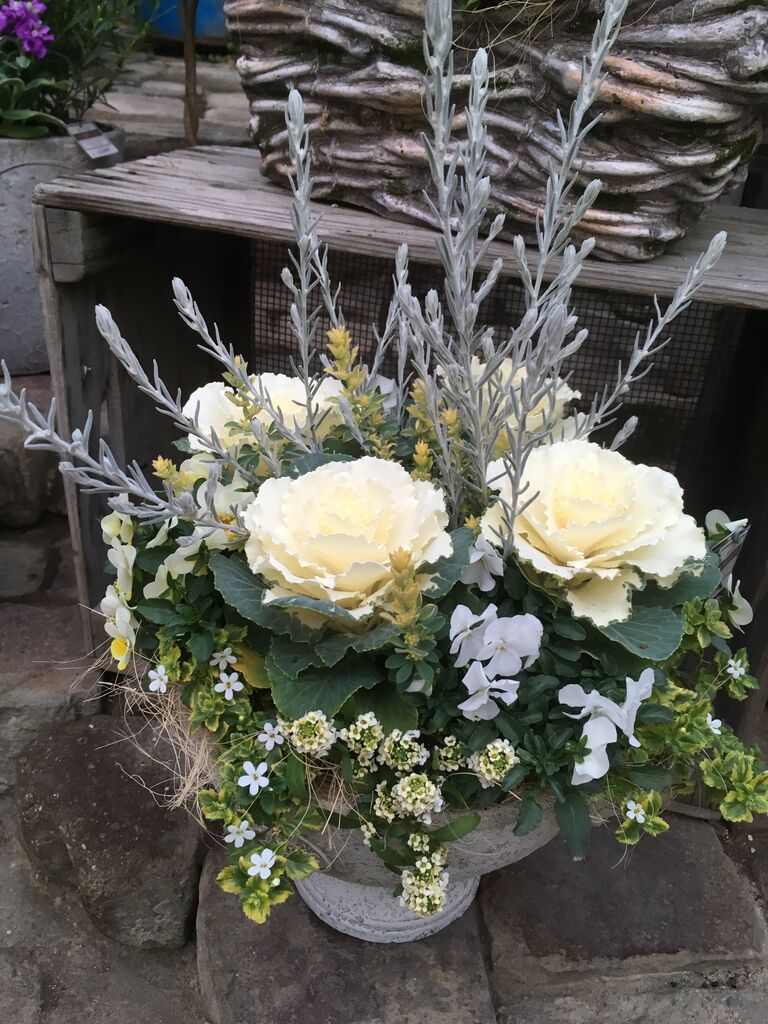 flower shop lobelia ロベリア flower shop lobelia ロベリア