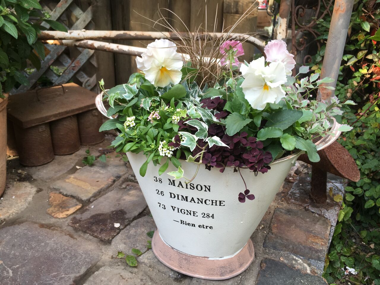 ｆｌｏｗｅｒ ｓｈｏｐ ｌｏｂｅｌｉａ ロベリア