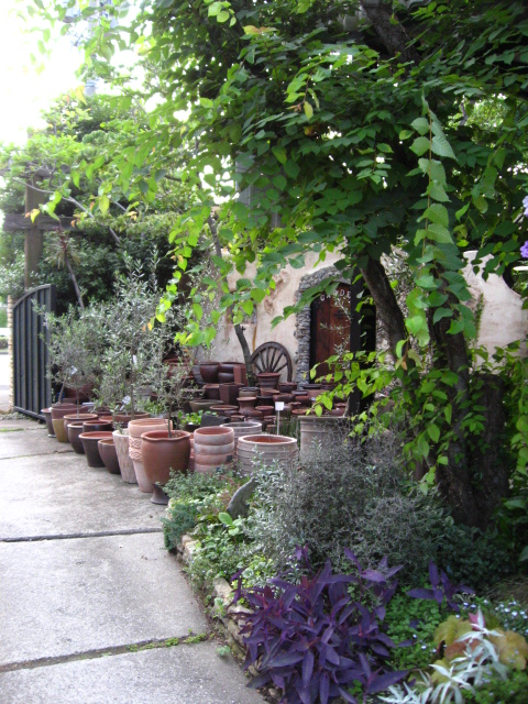 久々に 手づくり花づくり に登場 flower shop lobelia ロベリア 久々に 手づくり花づくり に登場 flower shop lobelia ロベリア