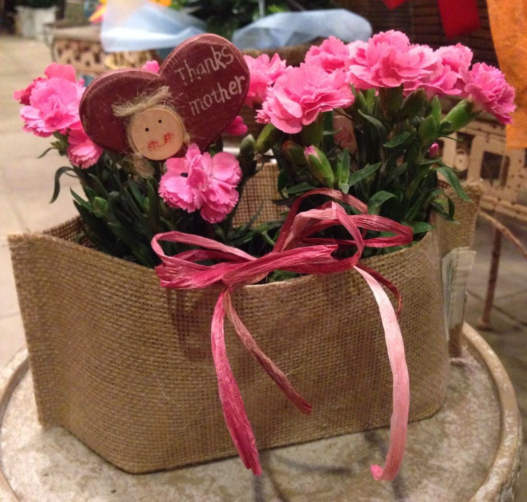 母の日のプレゼントに ｆｌｏｗｅｒ ｓｈｏｐ ｌｏｂｅｌｉａ ロベリア