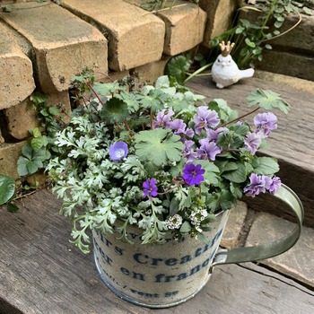 E390D421-C90F-48DE-A6A5-01139A9D1891