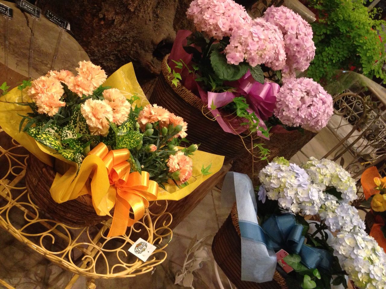 母の日のプレゼントに ｆｌｏｗｅｒ ｓｈｏｐ ｌｏｂｅｌｉａ ロベリア