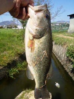 keigo1