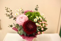 Image-1 (3)