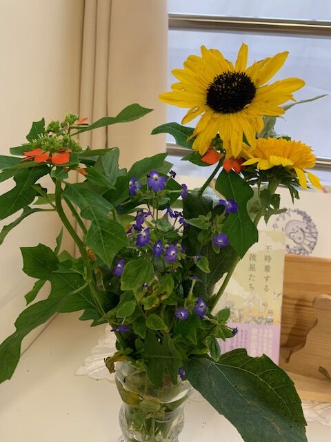 不思議な花 たんぽぽ日誌オンリーワン