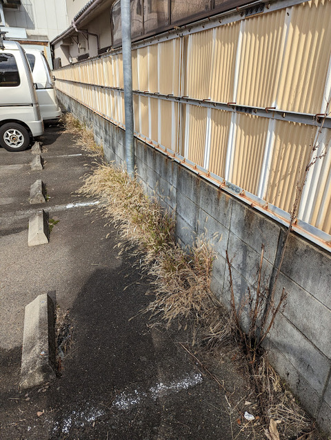 PXL_20221207_034505913