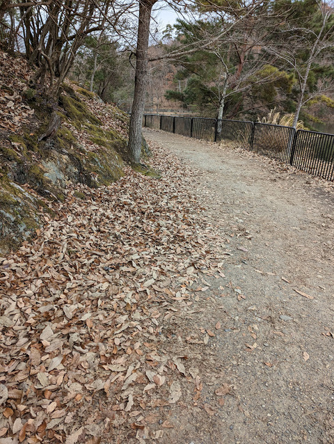 PXL_20221221_042503560