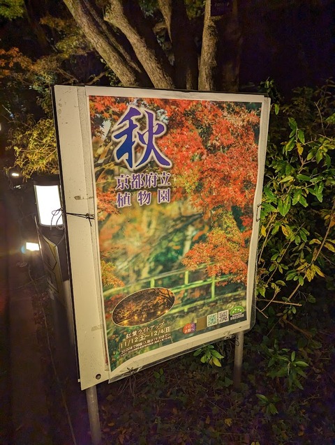 PXL_20221112_101751424