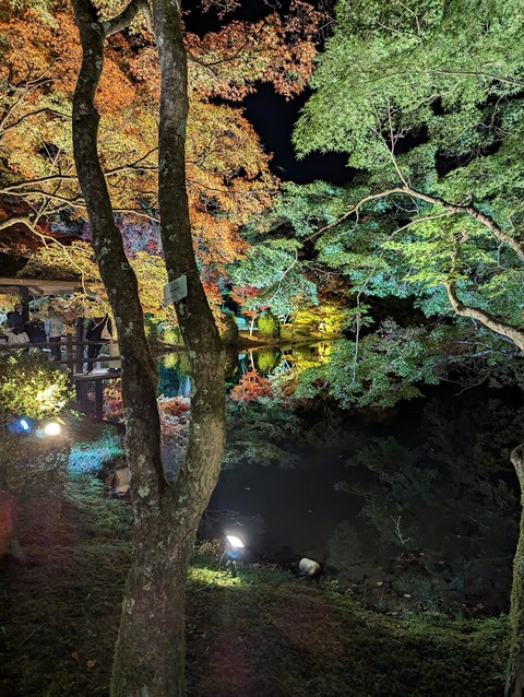 PXL_20221112_095942640