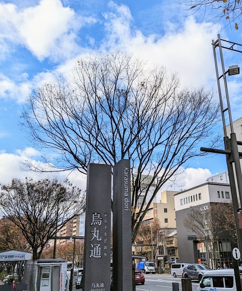 PXL_20221202_035346280_2