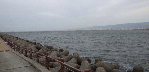 f20190117e