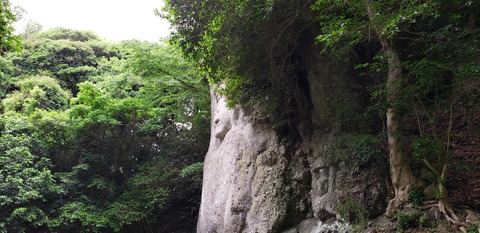 20190527_134808