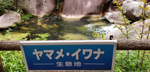 20190713_104433