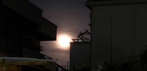 20210228_192854