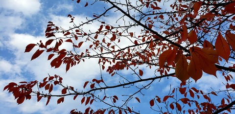 20201107_223958