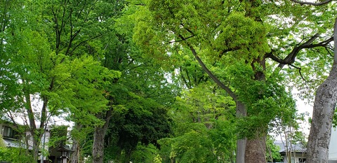 20190504_114033