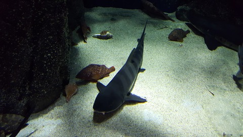 20170218_105638