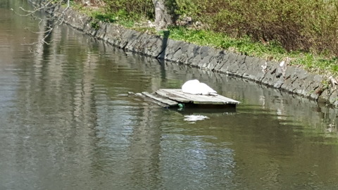 20170423_141233
