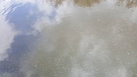 20170423_111732