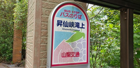 20190713_103042