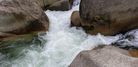 20190713_105841