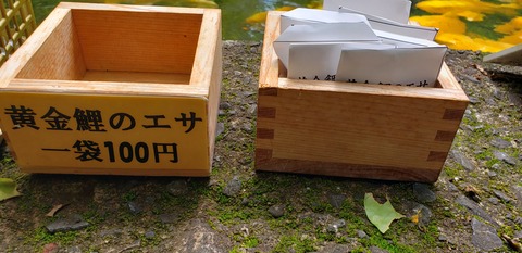 20190713_132748