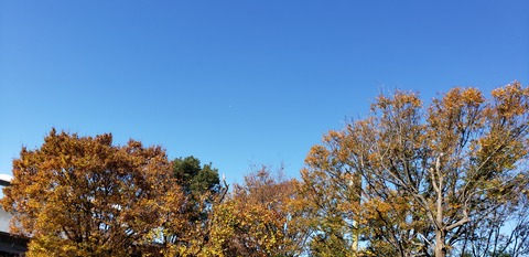 20191130_103313