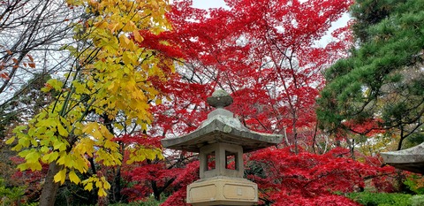 20201107_132902