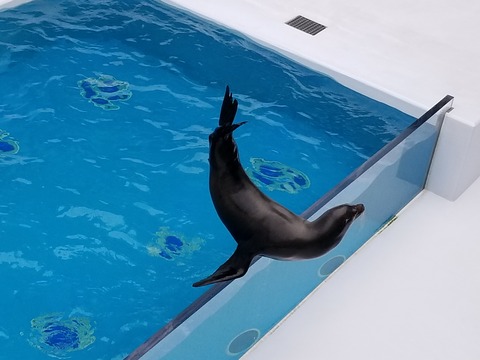 20180609_101109