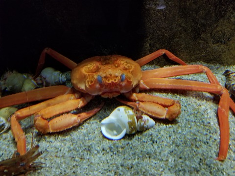20180609_094703