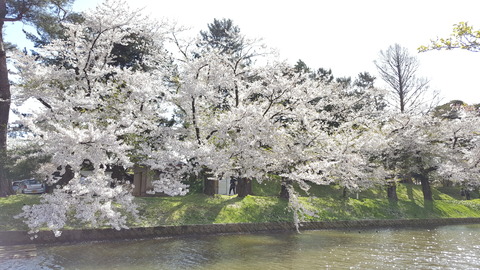 20170423_135107