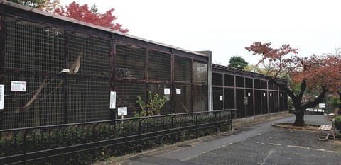 20201107_224717