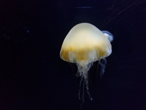 20180609_093902